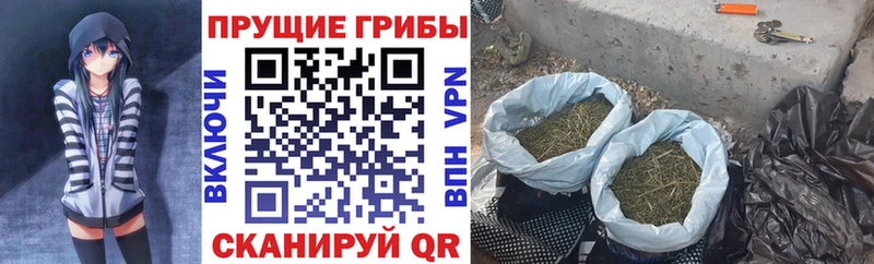 Галлюциногенные грибы мухоморы  Бобров 