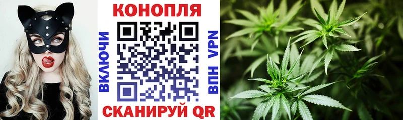 купить   Бобров  Бошки марихуана White Widow 